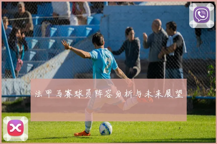 法甲马赛球员阵容分析与未来展望