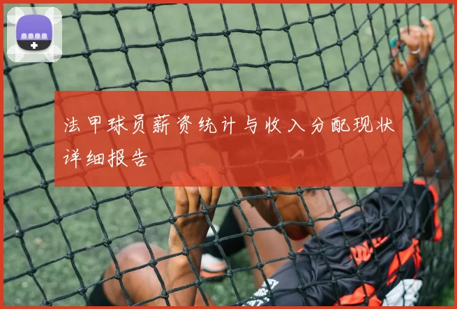 法甲球员薪资统计与收入分配现状详细报告