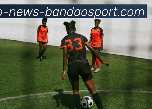 半岛体育平台生态图