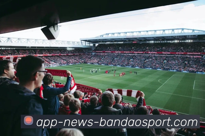 半岛体育全站App 半岛体育全站App