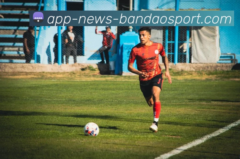 辅助工具 辅助工具